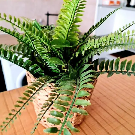 Le Petit Thai 2 Pieces Zen Centre شقة *